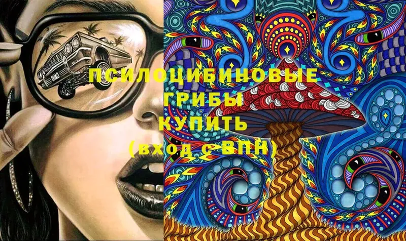 Галлюциногенные грибы Cubensis  Камешково 